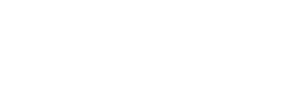 Rome City Institute